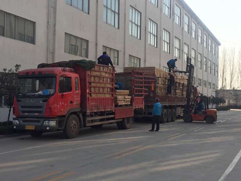 新飛暖氣片溫暖出發(fā)