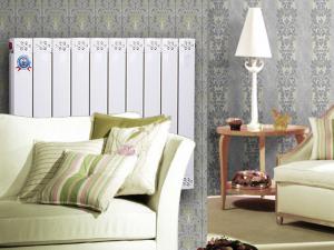 銅鋁復(fù)合暖氣片80*60-2